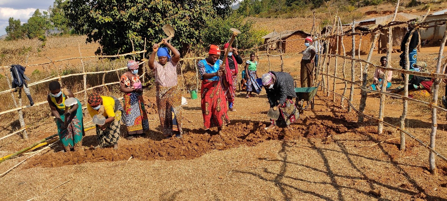 FAO Country Profiles Farmers in Malawi being trained on nursery establishment to enhance